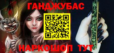 индика Гатчина