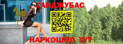 индика Гатчина