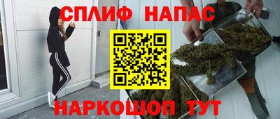 индика Гатчина