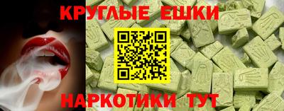 индика Гатчина