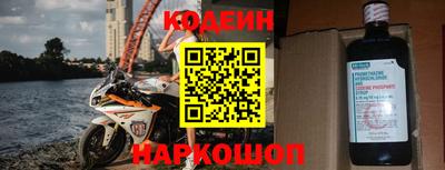 индика Гатчина