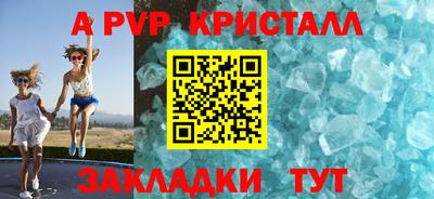 индика Гатчина