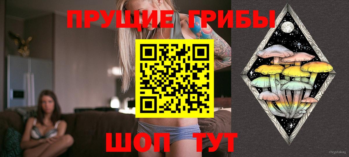 Псилоцибиновые грибы MAGIC MUSHROOMS Россия