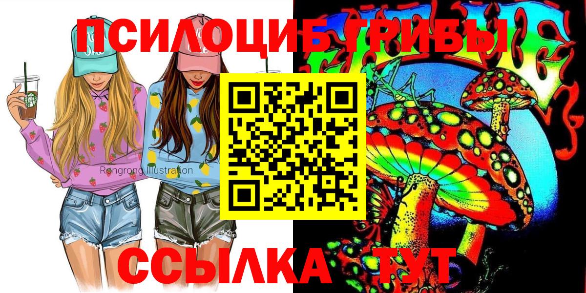 Россия  Псилоцибиновые грибы Magic Shrooms  закладки  Вход с VPN 